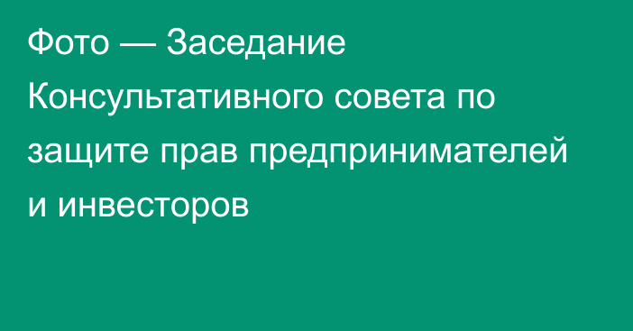 Фото — Заседание Консультативного совета по защите прав предпринимателей и инвесторов