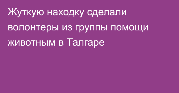 Жуткую находку сделали волонтеры из группы помощи животным в Талгаре