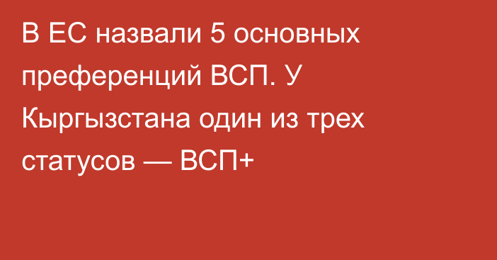 В ЕС назвали 5 основных преференций ВСП. У Кыргызстана один из трех статусов — ВСП+