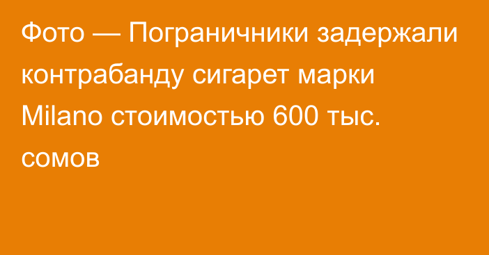 Фото — Пограничники задержали контрабанду сигарет марки Milano стоимостью 600 тыс. сомов