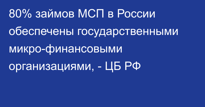 80% займов МСП в России обеспечены государственными микро-финансовыми организациями, - ЦБ РФ