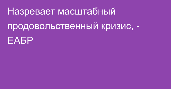 Назревает масштабный продовольственный кризис, - ЕАБР