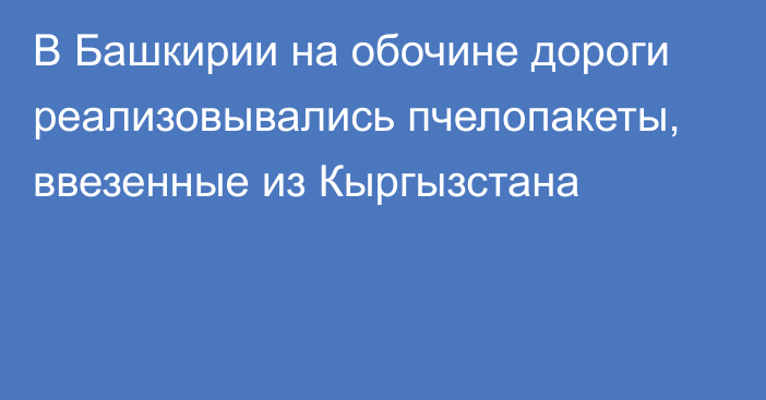 В Башкирии на обочине дороги реализовывались пчелопакеты, ввезенные из Кыргызстана