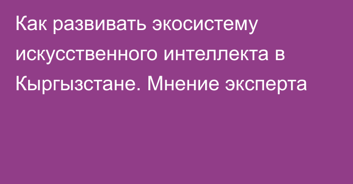 Как развивать экосистему искусственного интеллекта в Кыргызстане. Мнение эксперта