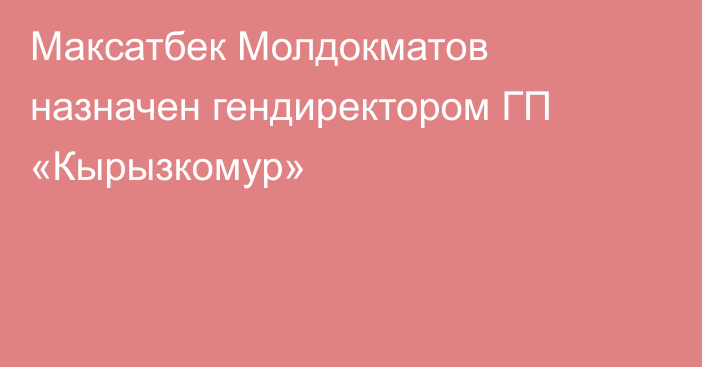 Максатбек Молдокматов назначен гендиректором  ГП «Кырызкомур»