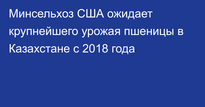 Минсельхоз США ожидает крупнейшего урожая пшеницы в Казахстане с 2018 года