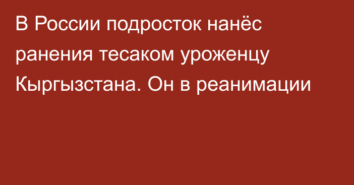 В России подросток нанёс ранения тесаком уроженцу Кыргызстана. Он в реанимации