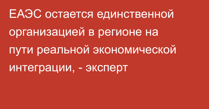 ЕАЭС остается единственной организацией в регионе на пути реальной экономической интеграции, - эксперт