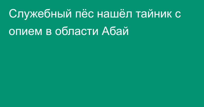 Служебный пёс нашёл тайник с опием в области Абай