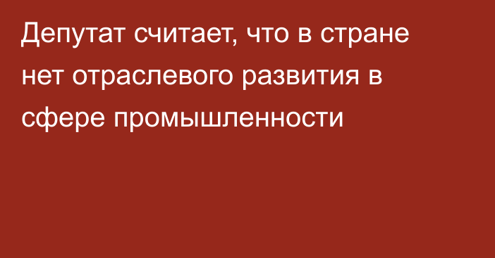 Депутат считает, что в стране нет отраслевого развития в сфере промышленности