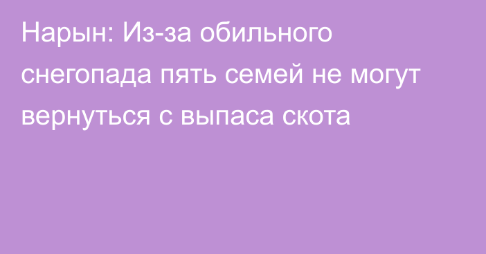 Нарын: Из-за обильного снегопада пять семей не могут вернуться с выпаса скота