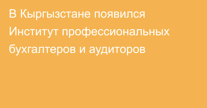 В Кыргызстане появился Институт профессиональных бухгалтеров и аудиторов