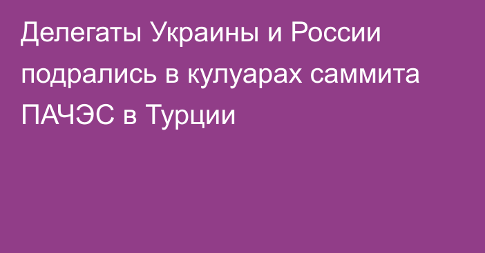 Делегаты Украины и России подрались в кулуарах саммита ПАЧЭС в Турции