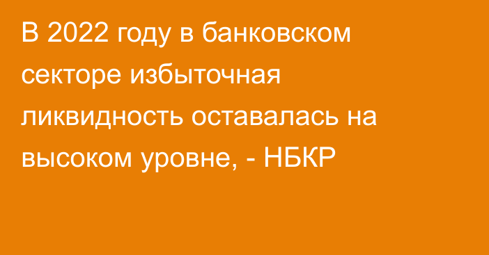 В 2022 году в банковском секторе избыточная ликвидность оставалась на высоком уровне, - НБКР