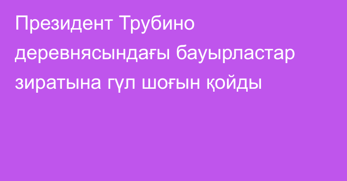 Президент Трубино деревнясындағы бауырластар зиратына гүл шоғын қойды