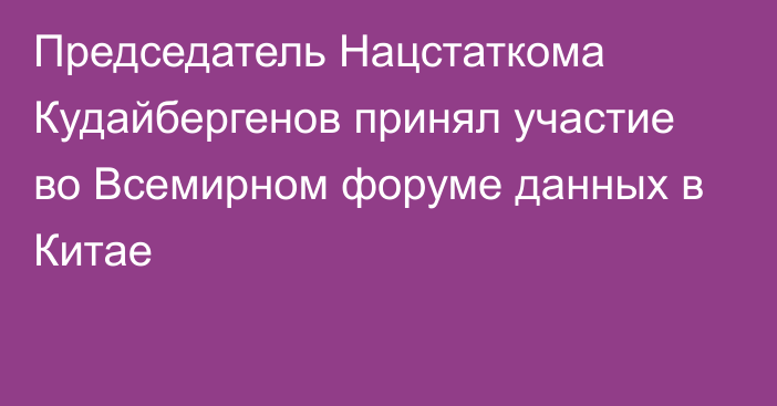 Председатель Нацстаткома Кудайбергенов принял участие во Всемирном форуме данных в Китае