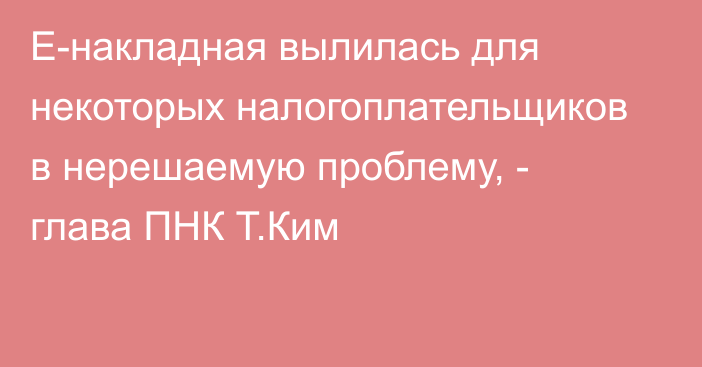 Е-накладная вылилась для некоторых налогоплательщиков в нерешаемую проблему, - глава ПНК Т.Ким