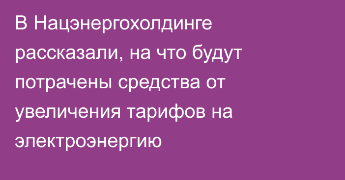 В Нацэнергохолдинге рассказали, на что будут потрачены средства от увеличения тарифов на электроэнергию