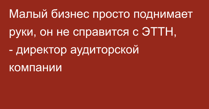 Малый бизнес просто поднимает руки, он не справится с ЭТТН, - директор аудиторской компании