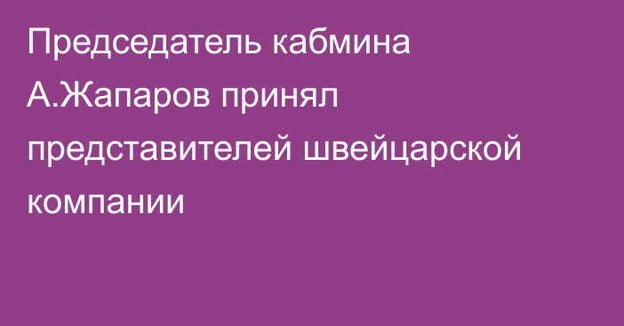 Председатель кабмина А.Жапаров принял представителей швейцарской компании