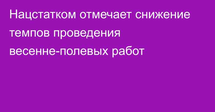 Нацстатком отмечает снижение темпов проведения весенне-полевых работ