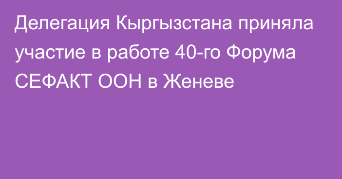 Делегация Кыргызстана приняла участие в работе 40-го Форума СЕФАКТ ООН в Женеве