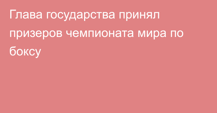 Глава государства принял призеров чемпионата мира по боксу