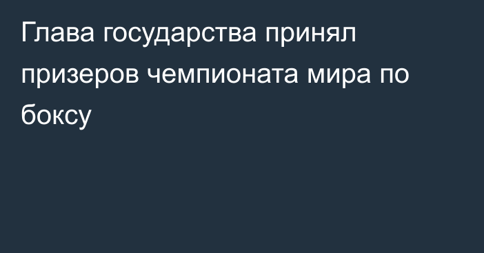 Глава государства принял призеров чемпионата мира по боксу