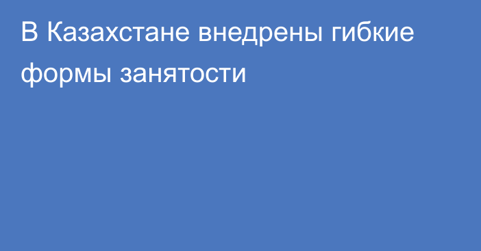 В Казахстане внедрены гибкие формы занятости