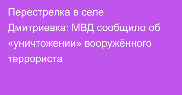 Перестрелка в селе Дмитриевка: МВД сообщило об «уничтожении» вооружённого террориста