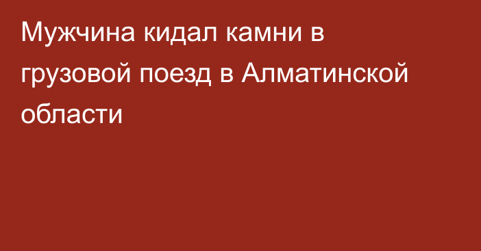 Мужчина кидал камни в грузовой поезд в Алматинской области