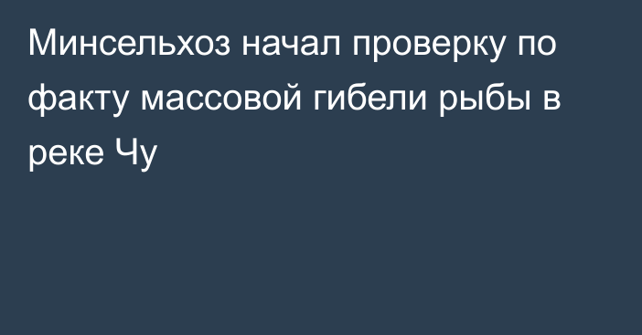 Минсельхоз начал проверку по факту массовой гибели рыбы в реке Чу