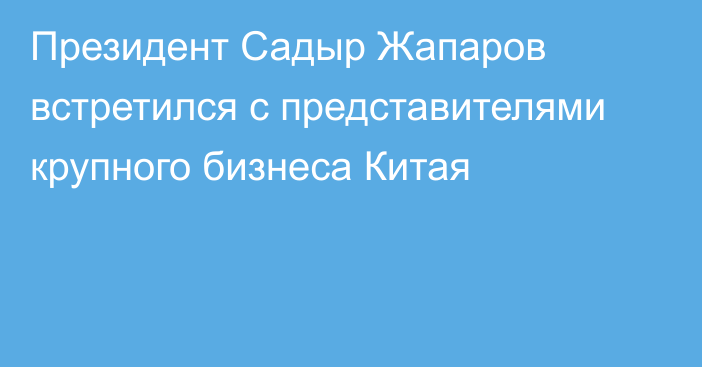 Президент Садыр Жапаров встретился с представителями крупного бизнеса Китая