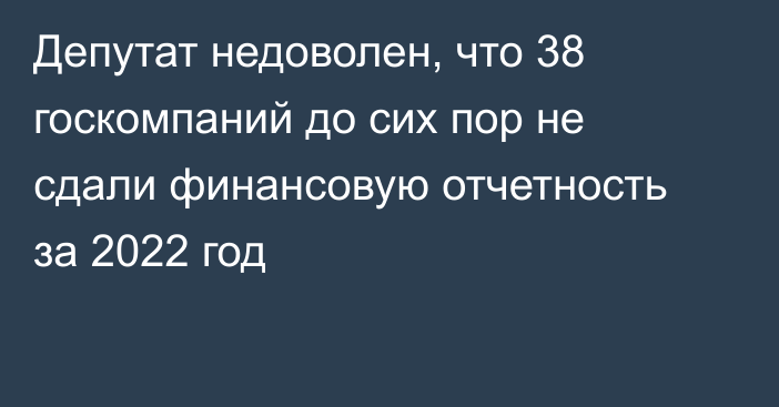 Депутат недоволен, что 38 госкомпаний до сих пор не сдали финансовую отчетность за 2022 год