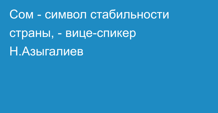 Сом - символ стабильности страны, - вице-спикер Н.Азыгалиев