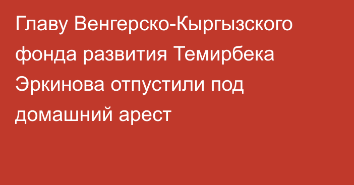 Главу Венгерско-Кыргызского фонда развития Темирбека Эркинова отпустили под домашний арест