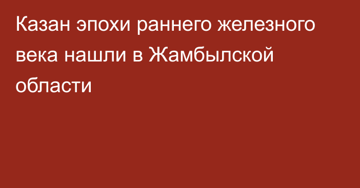 Казан эпохи раннего железного века нашли в Жамбылской области