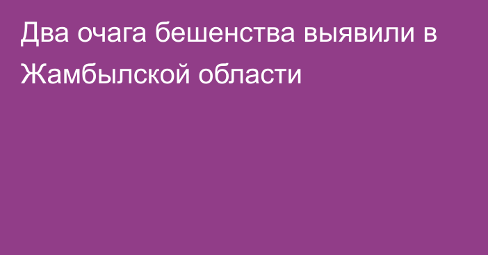 Два очага бешенства выявили в Жамбылской области