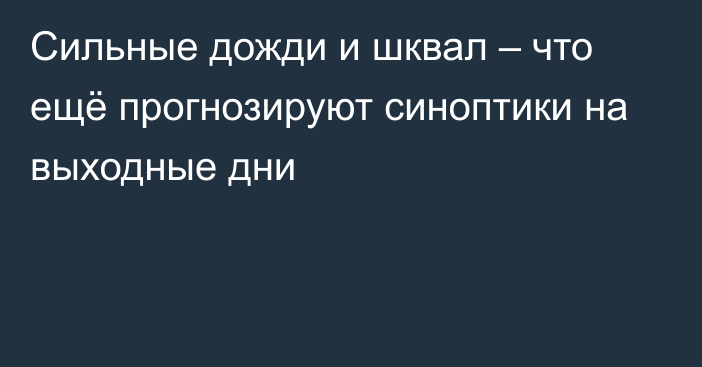 Сильные дожди и шквал – что ещё прогнозируют синоптики на выходные дни