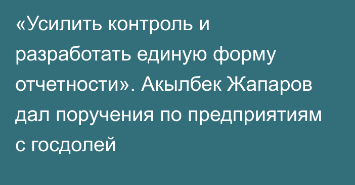 «Усилить контроль и разработать единую форму отчетности». Акылбек Жапаров дал поручения по предприятиям с госдолей