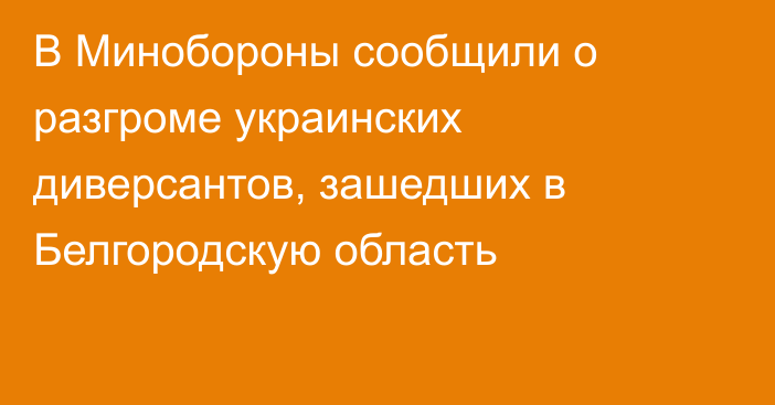 В Минобороны сообщили о разгроме украинских диверсантов, зашедших в Белгородскую область