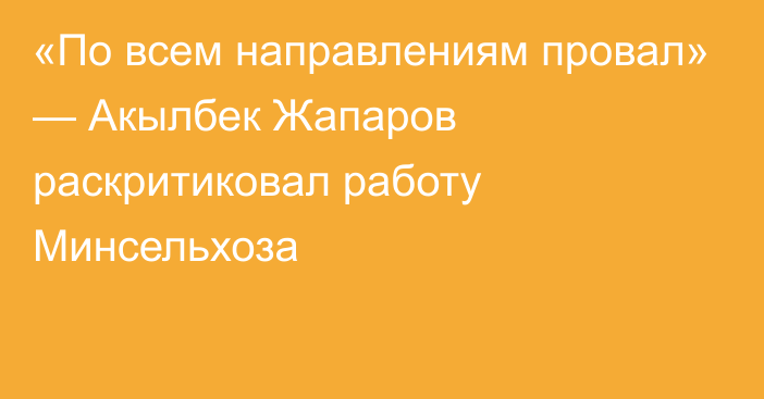 «По всем направлениям провал» — Акылбек Жапаров раскритиковал работу Минсельхоза