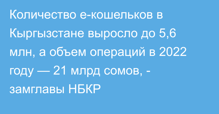 Количество е-кошельков в Кыргызстане выросло до 5,6 млн, а объем операций в 2022 году — 21 млрд сомов, - замглавы НБКР