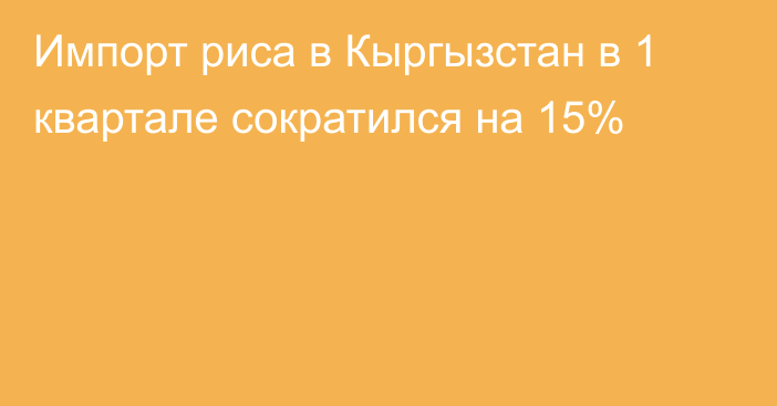 Импорт риса в Кыргызстан в 1 квартале сократился на 15%