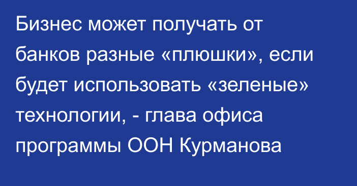 Бизнес может получать от банков разные «плюшки», если будет использовать «зеленые» технологии, - глава офиса программы ООН Курманова