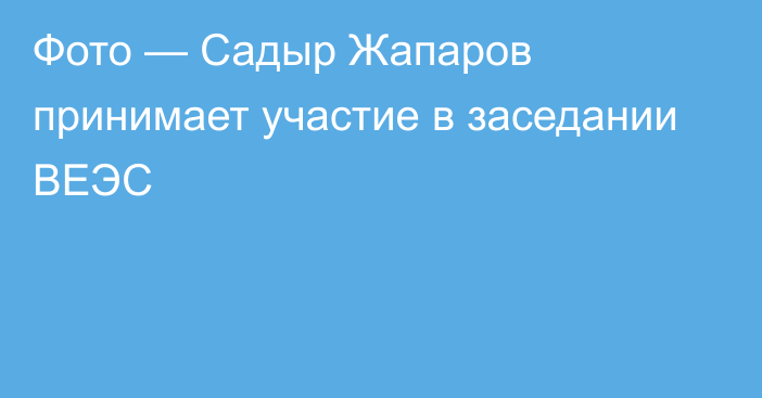 Фото — Садыр Жапаров принимает участие в заседании ВЕЭС