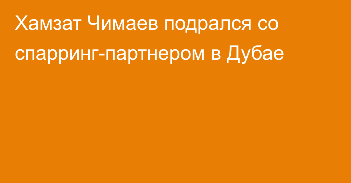 Хамзат Чимаев подрался со спарринг-партнером в Дубае