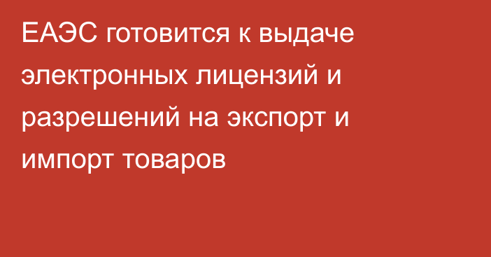 ЕАЭС готовится к выдаче электронных лицензий и разрешений на экспорт и импорт товаров