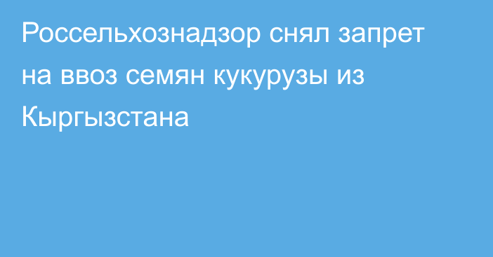 Россельхознадзор снял запрет на ввоз семян кукурузы из Кыргызстана