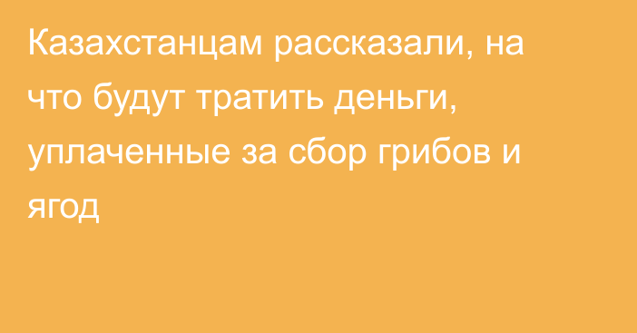 Казахстанцам рассказали, на что будут тратить деньги, уплаченные за сбор грибов и ягод